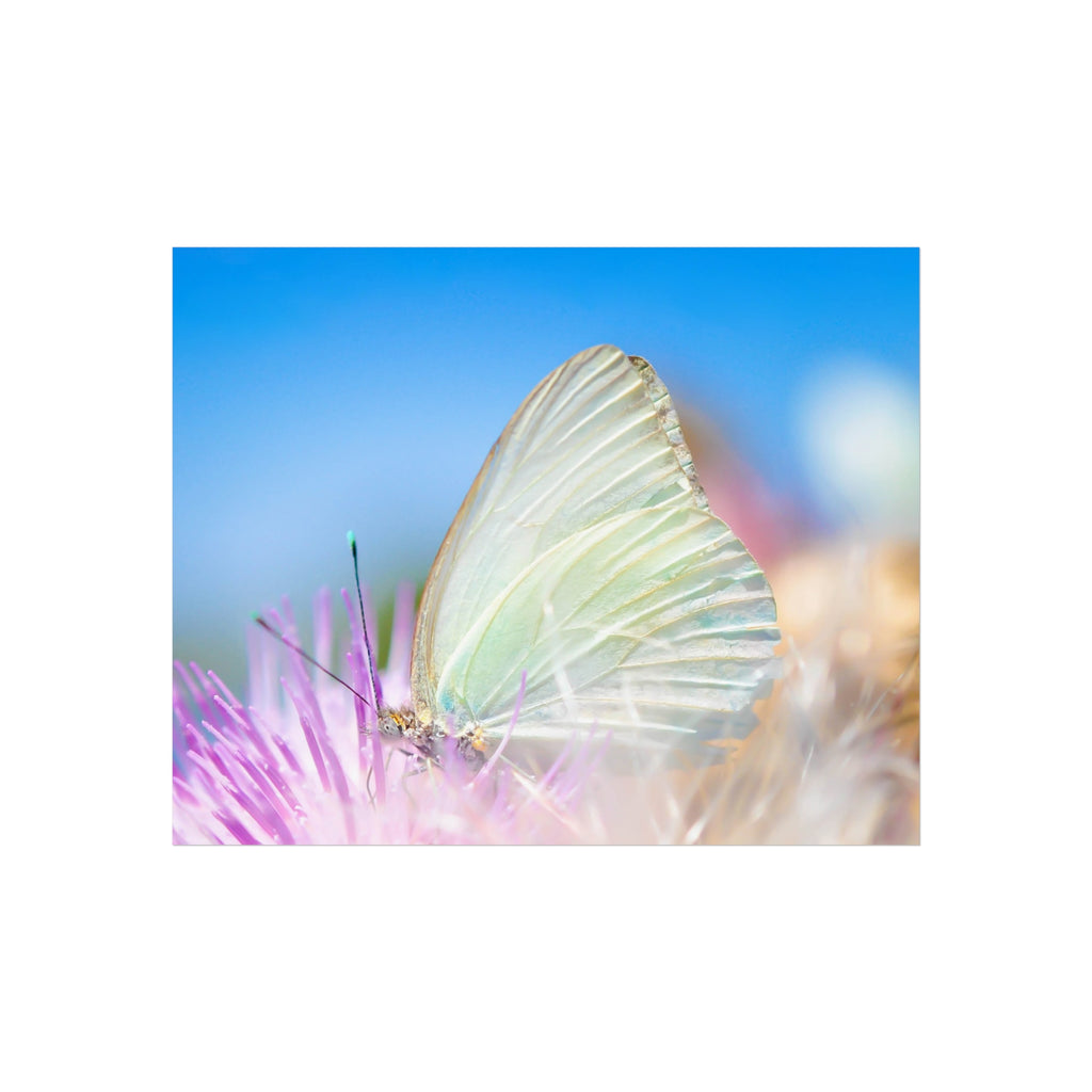 Butterfly Fine Art Poster — Pastel Nature Photography Print