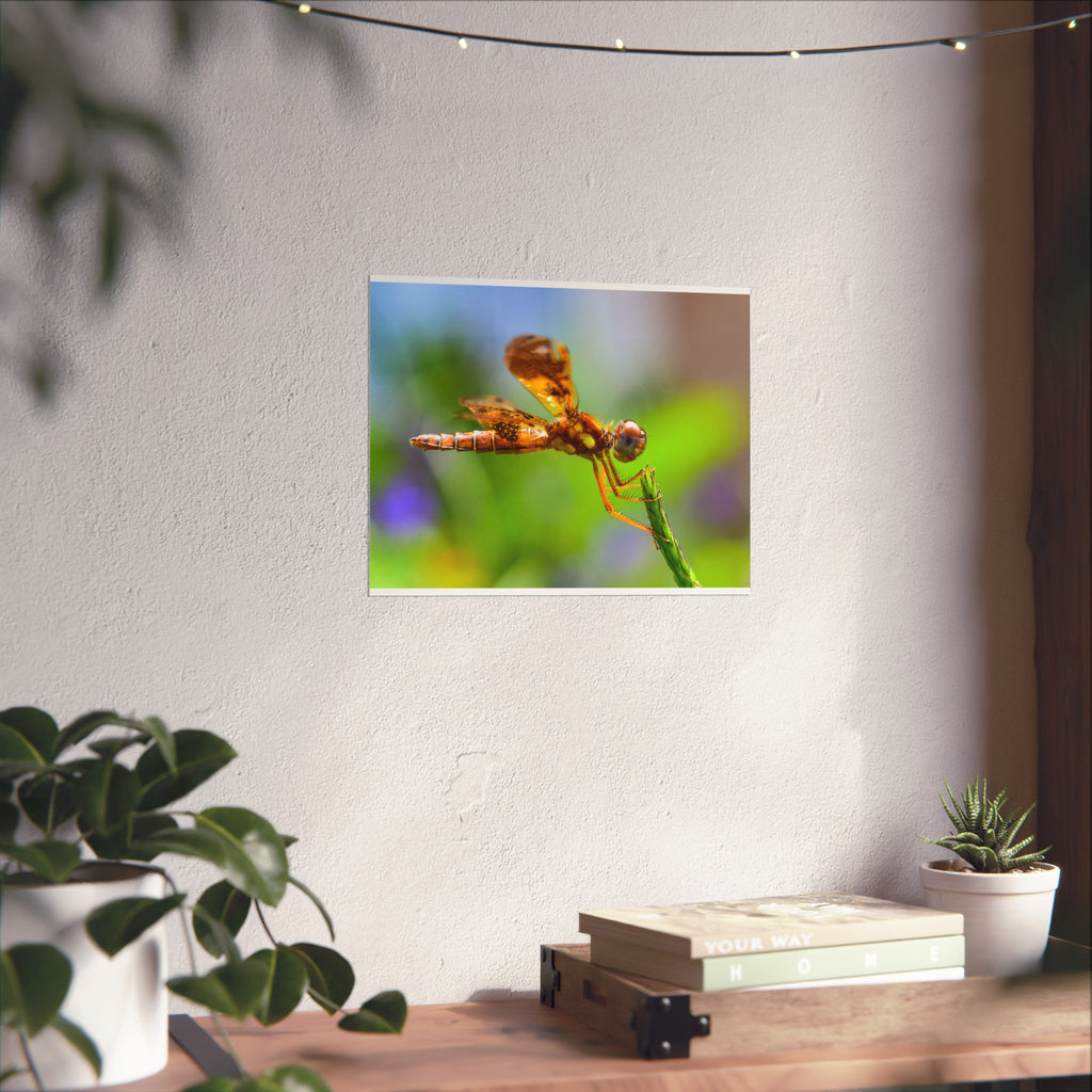 Dragonfly Fine Art Poster — Vibrant Macro Nature Wall Art