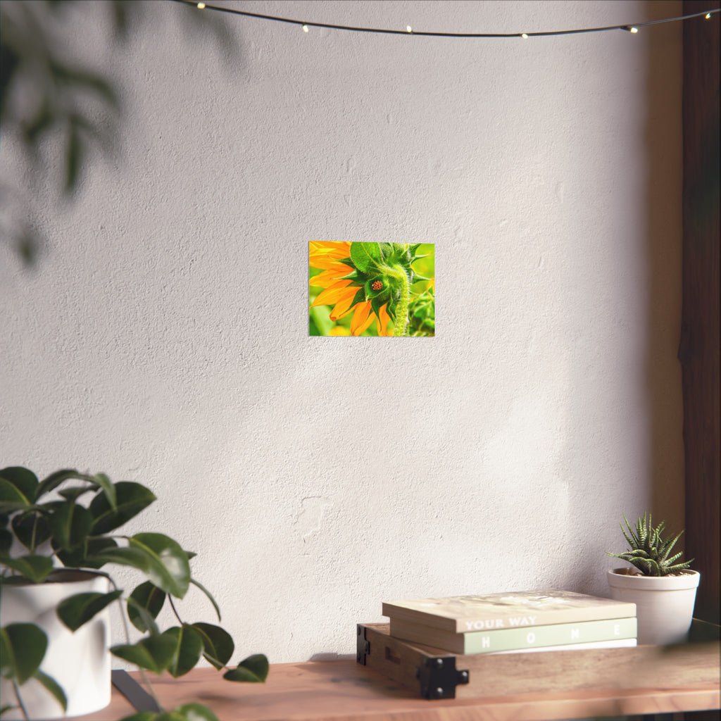 Sunflower & Ladybug Fine Art Poster — Bright Botanical Wall Art