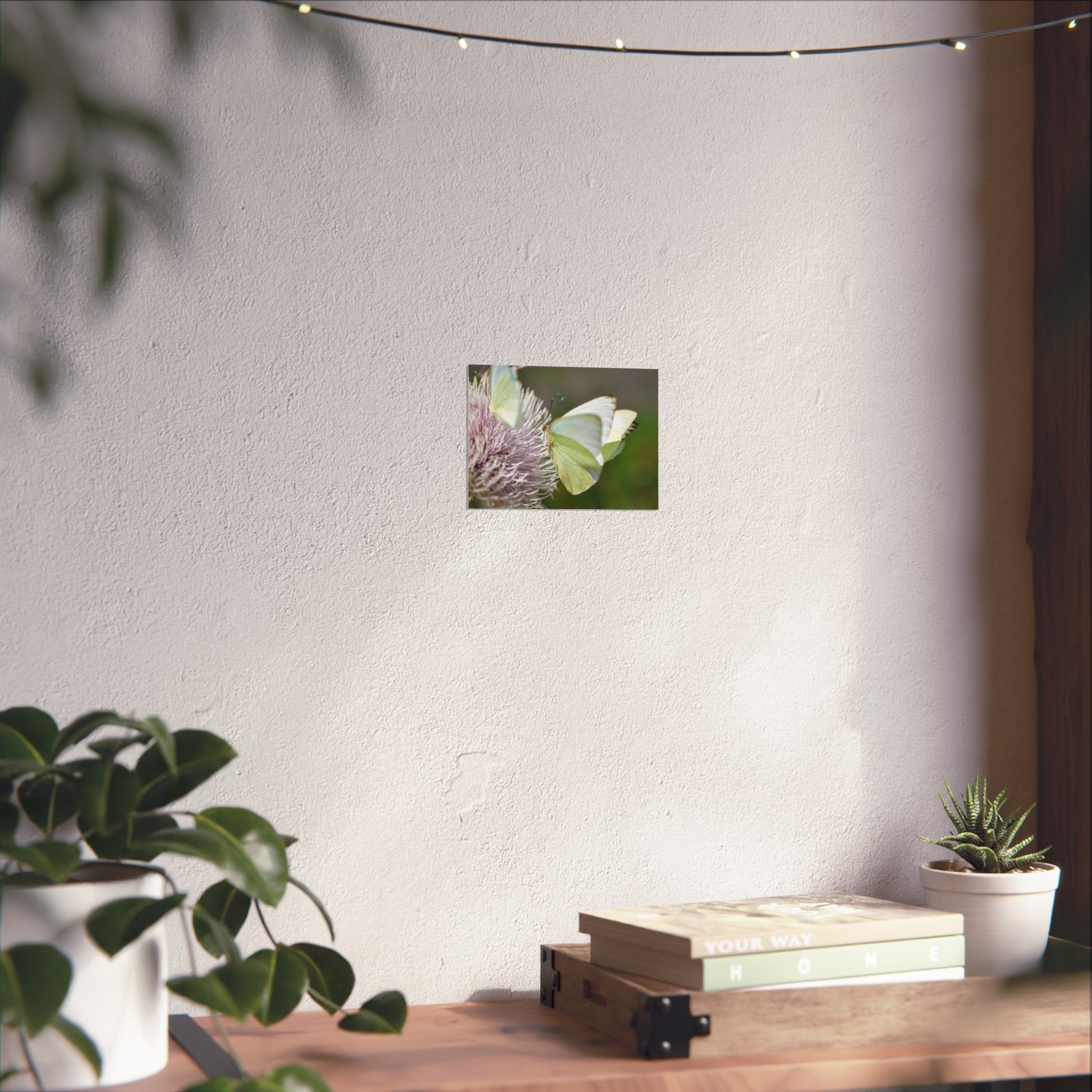 Butterfly Fine Art Poster — Delicate Green Cabbage White on Thistle