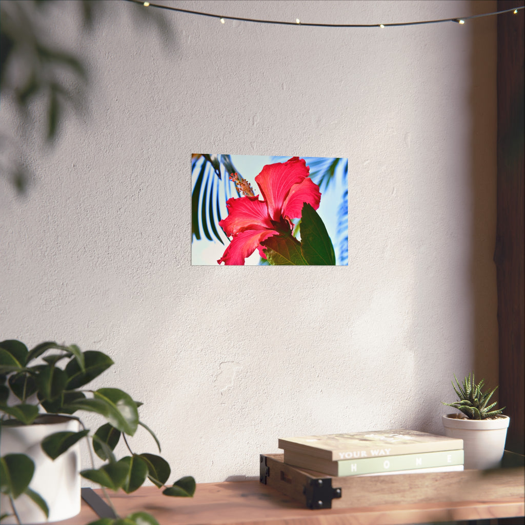 Hibiscus Tropical Floral Wall Art Print