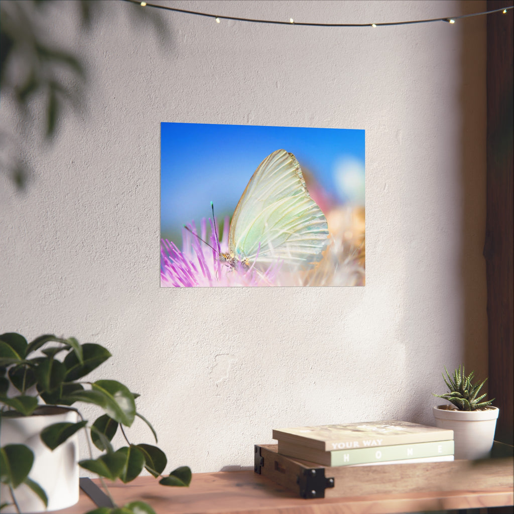Butterfly Fine Art Poster — Pastel Nature Photography Print