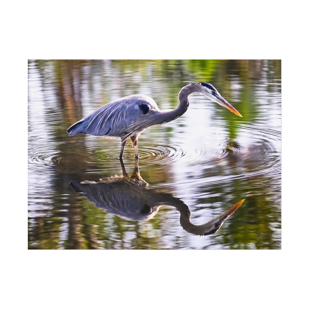 Great Blue Heron Fine Art — Serene Wildlife Photography Wall Art