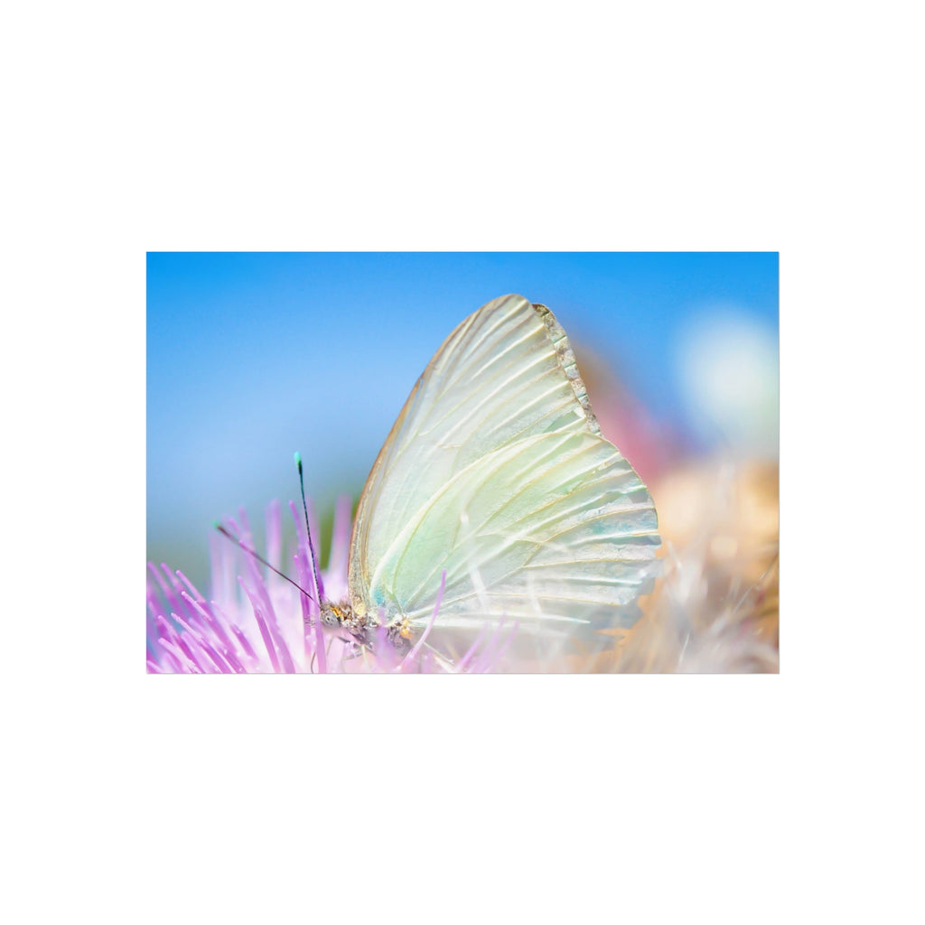 Butterfly Fine Art Poster — Pastel Nature Photography Print