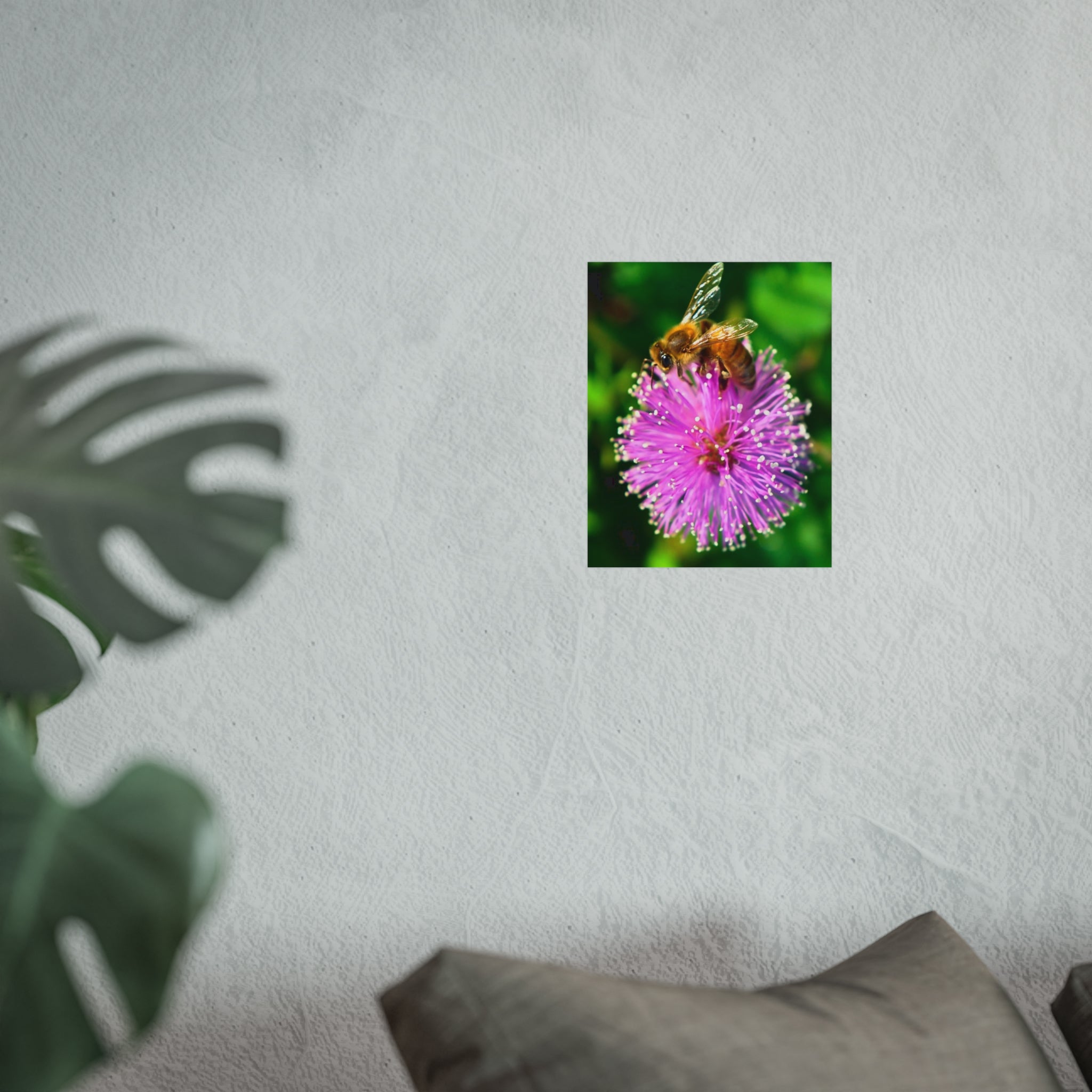 Fine Art Poster — Bee on Pink Mimosa Flower Photography Print