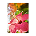 Tropical Flower Hibiscus Fine Art Print