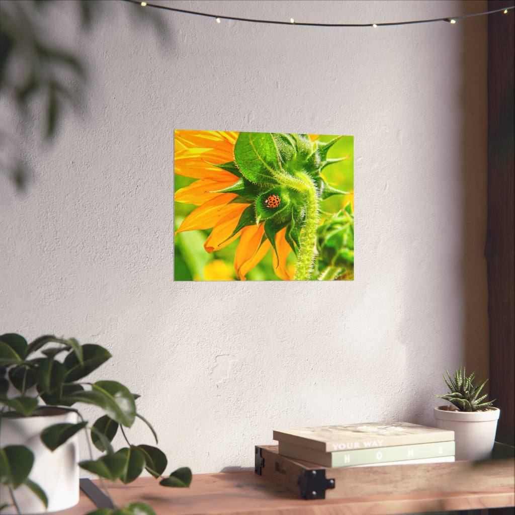 Sunflower & Ladybug Fine Art Poster — Bright Botanical Wall Art