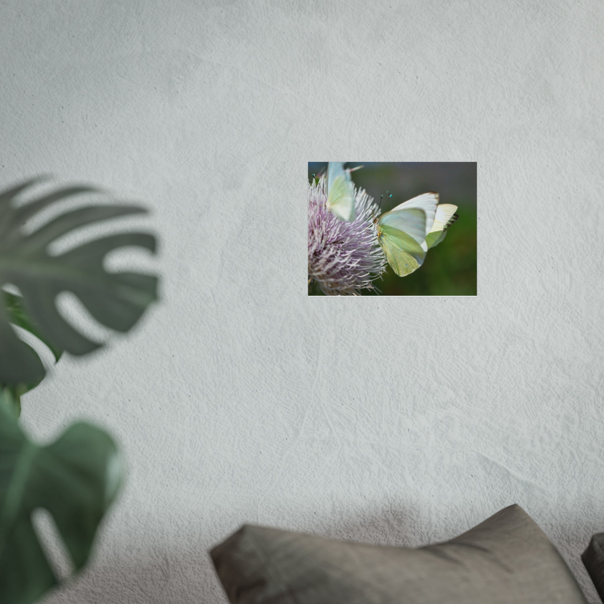 Butterfly Fine Art Poster — Delicate Green Cabbage White on Thistle