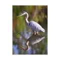 Heron Reflection Fine Art Print