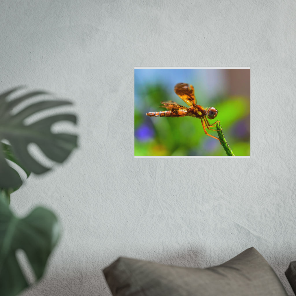 Dragonfly Fine Art Poster — Vibrant Macro Nature Wall Art