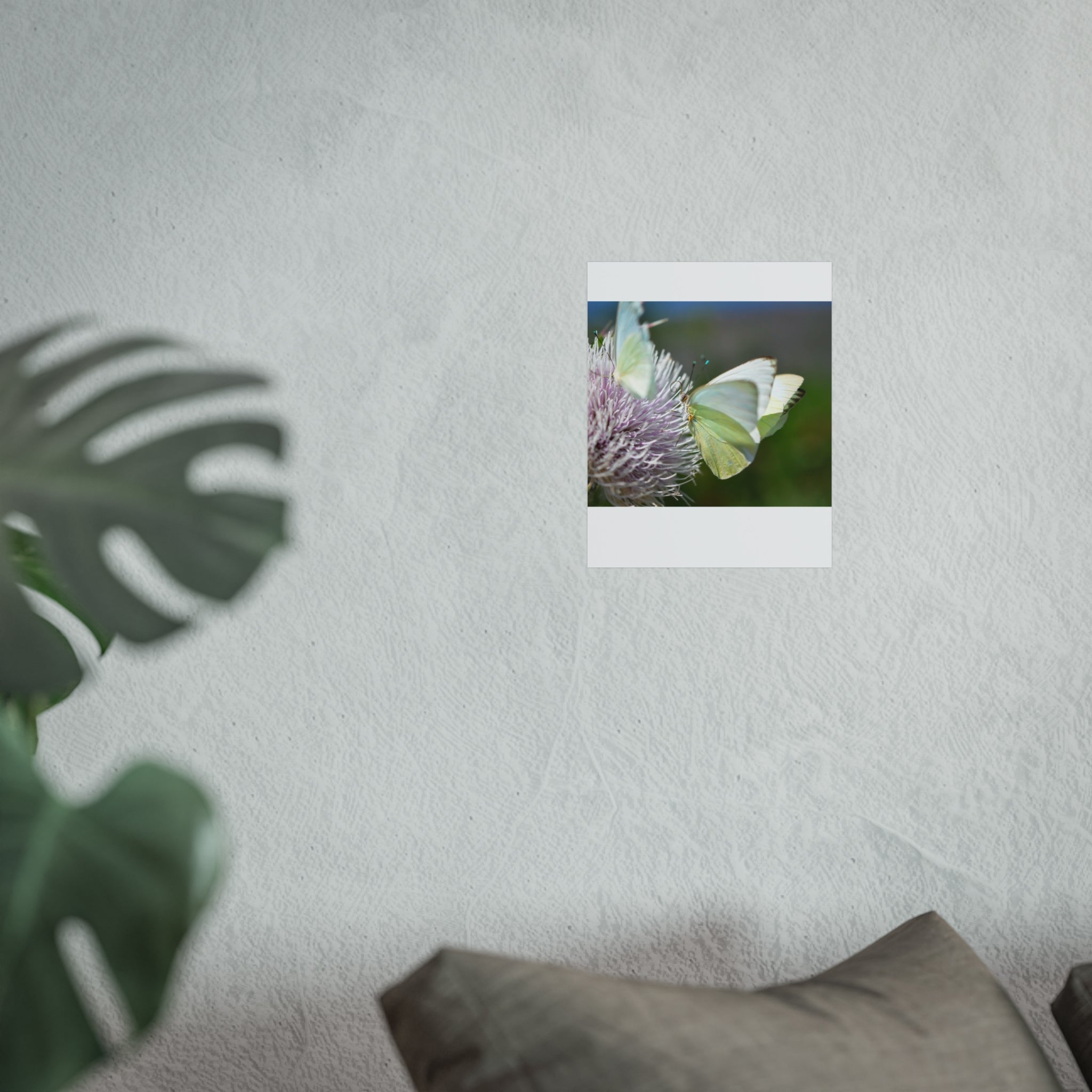 Butterfly Fine Art Poster — Delicate Green Cabbage White on Thistle