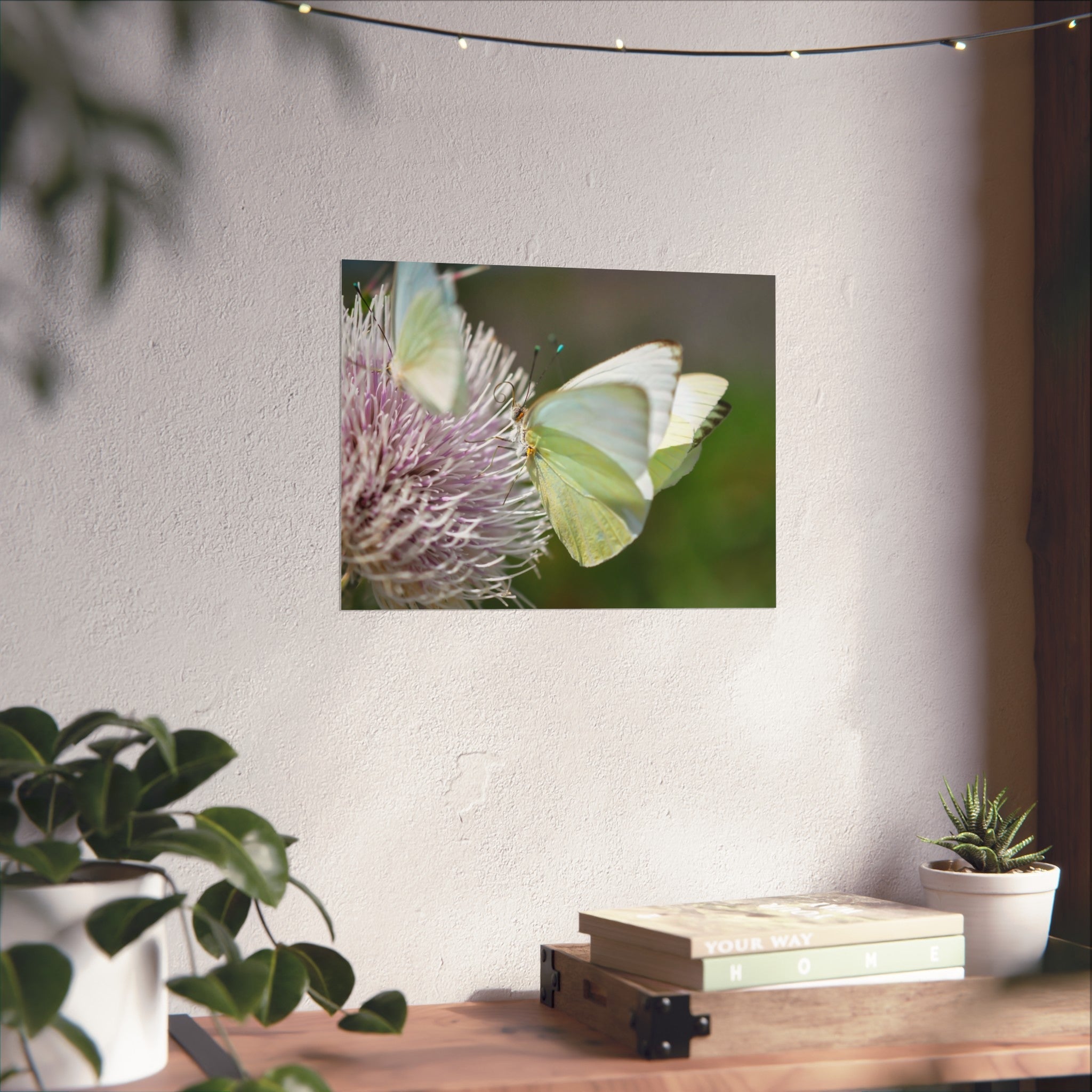 Butterfly Fine Art Poster — Delicate Green Cabbage White on Thistle