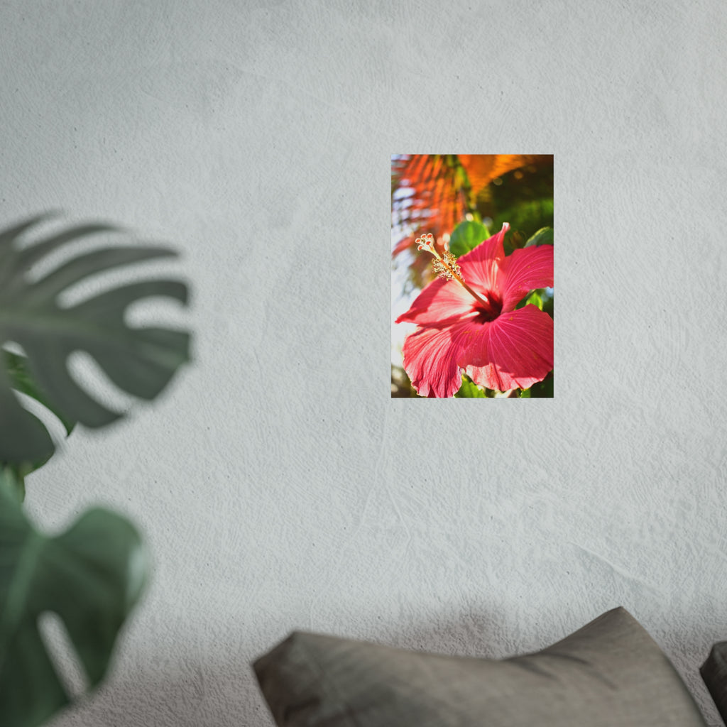 Tropical Flower Hibiscus Fine Art Print