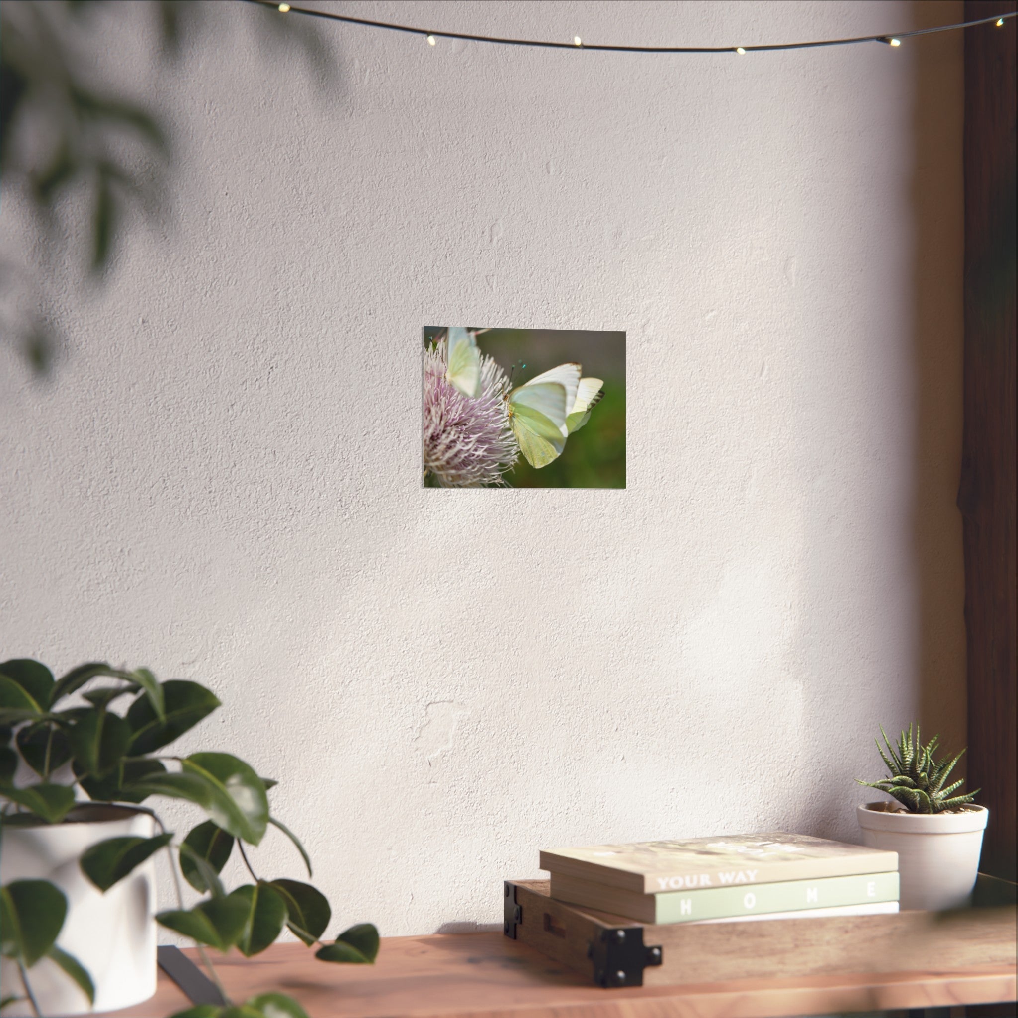 Butterfly Fine Art Poster — Delicate Green Cabbage White on Thistle