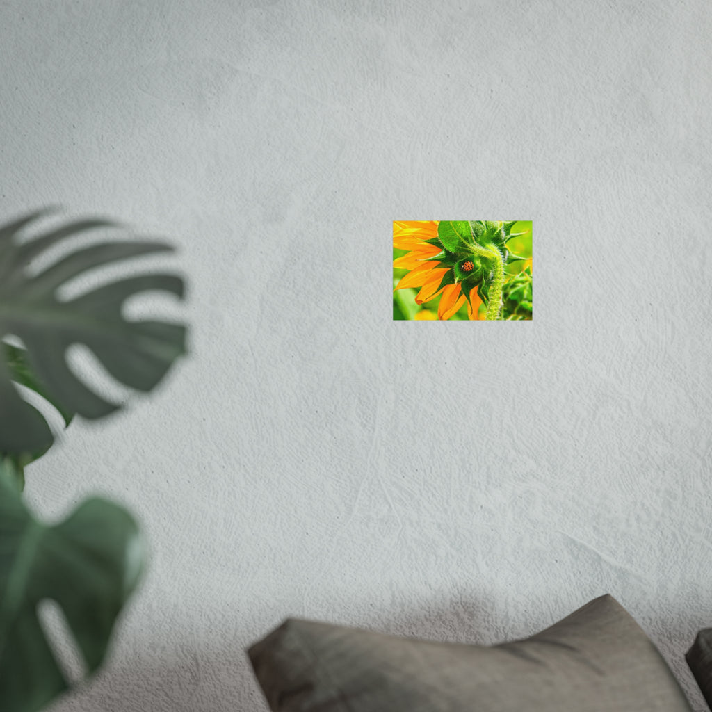 Sunflower & Ladybug Fine Art Poster — Bright Botanical Wall Art