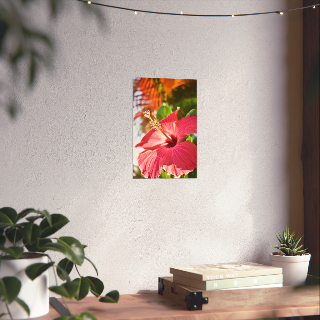 Tropical Flower Hibiscus Fine Art Print