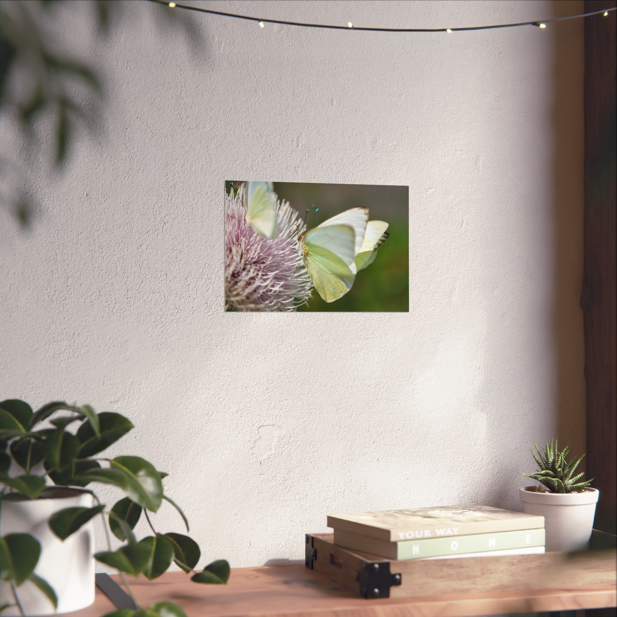 Butterfly Fine Art Poster — Delicate Green Cabbage White on Thistle