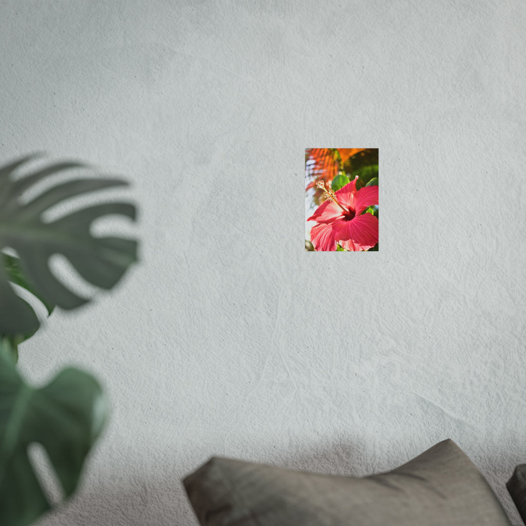 Tropical Flower Hibiscus Fine Art Print
