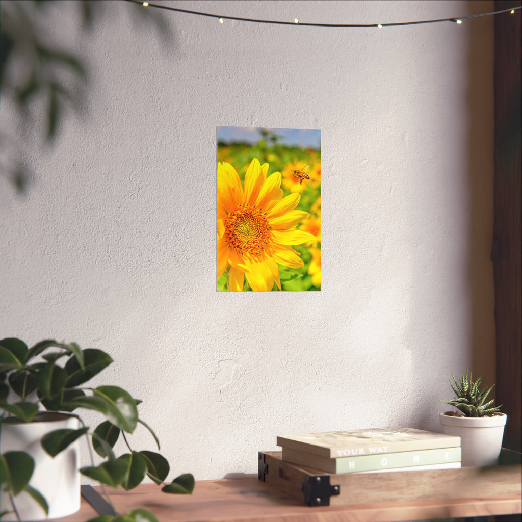 Sunflower & Bee Fine Art Poster — Bright Botanical Wall Art