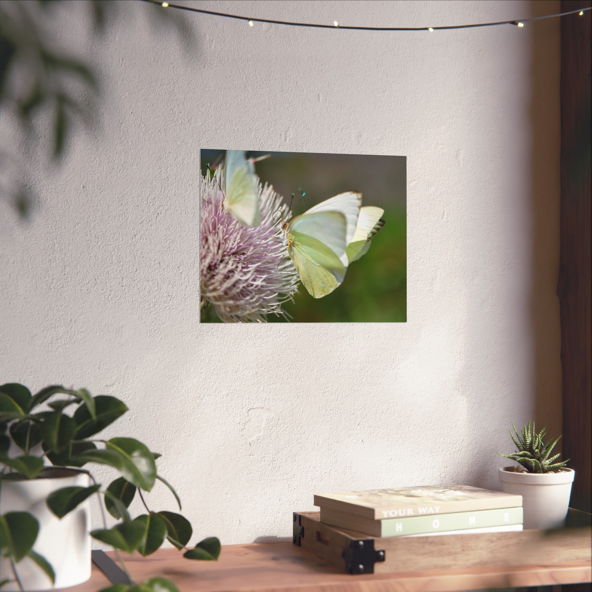 Butterfly Fine Art Poster — Delicate Green Cabbage White on Thistle