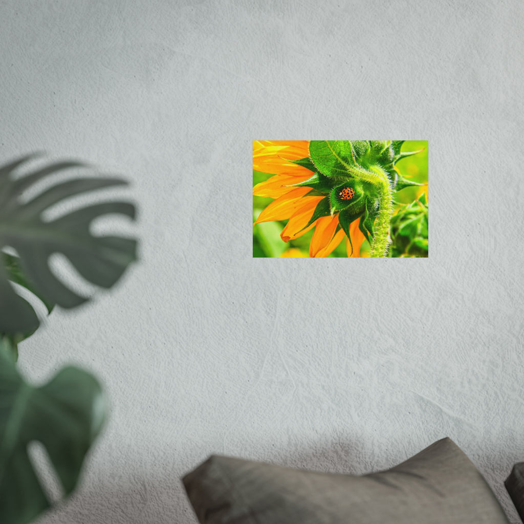 Sunflower & Ladybug Fine Art Poster — Bright Botanical Wall Art