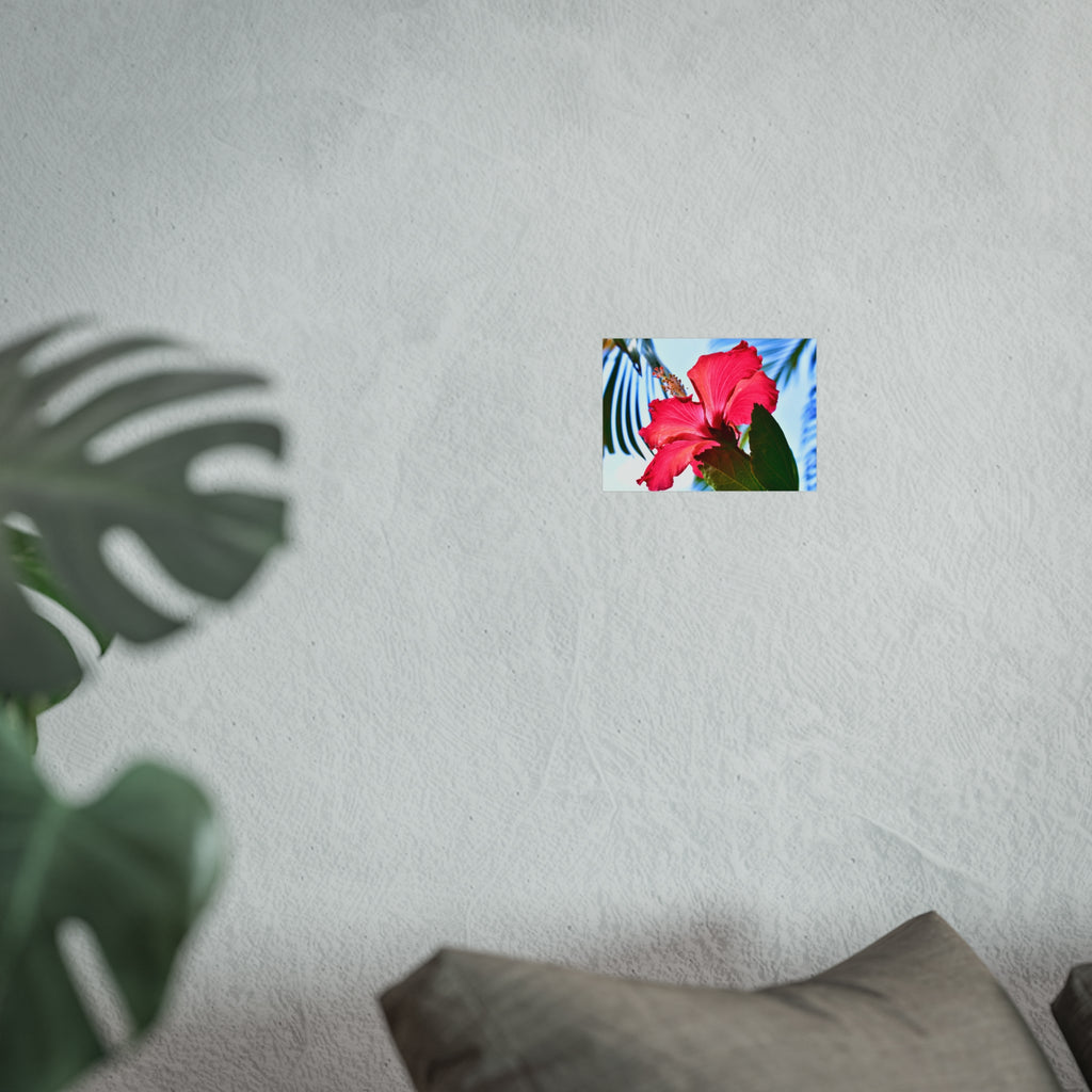 Hibiscus Tropical Floral Wall Art Print