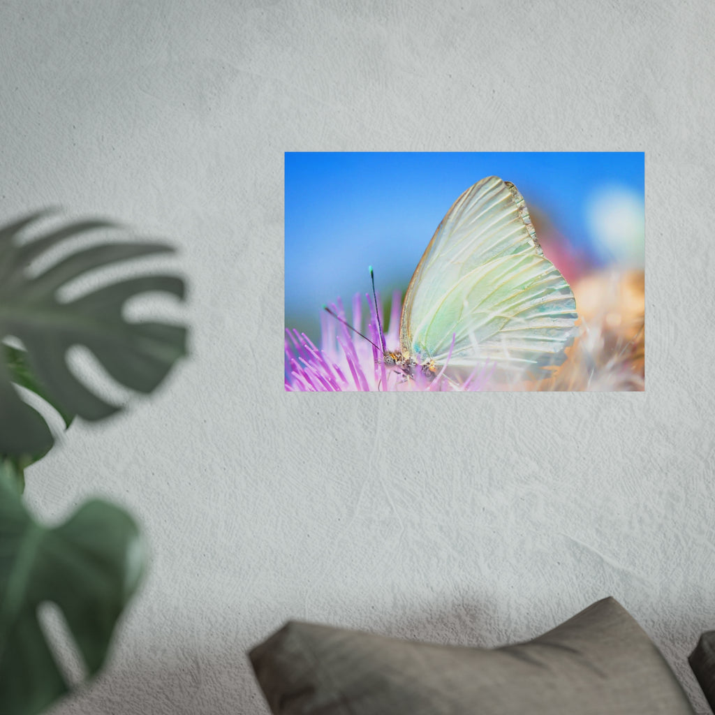 Butterfly Fine Art Poster — Pastel Nature Photography Print